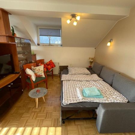 Apartment Kranj - Huge Terrace, Free P, Wi - Fi, Ac Extérieur photo