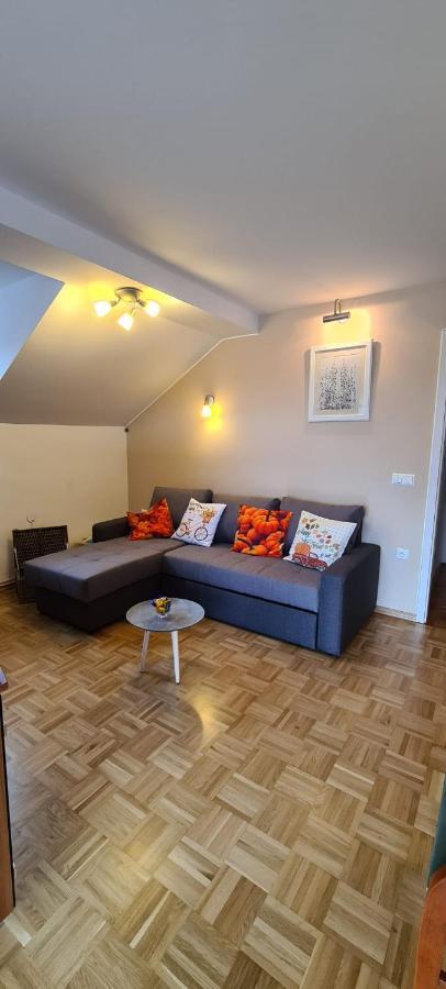 Apartment Kranj - Huge Terrace, Free P, Wi - Fi, Ac Extérieur photo