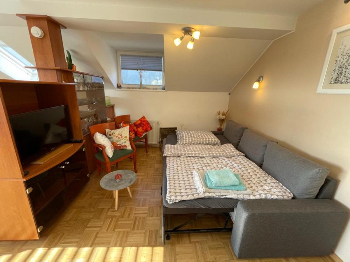 Apartment Kranj - Huge Terrace, Free P, Wi - Fi, Ac Extérieur photo