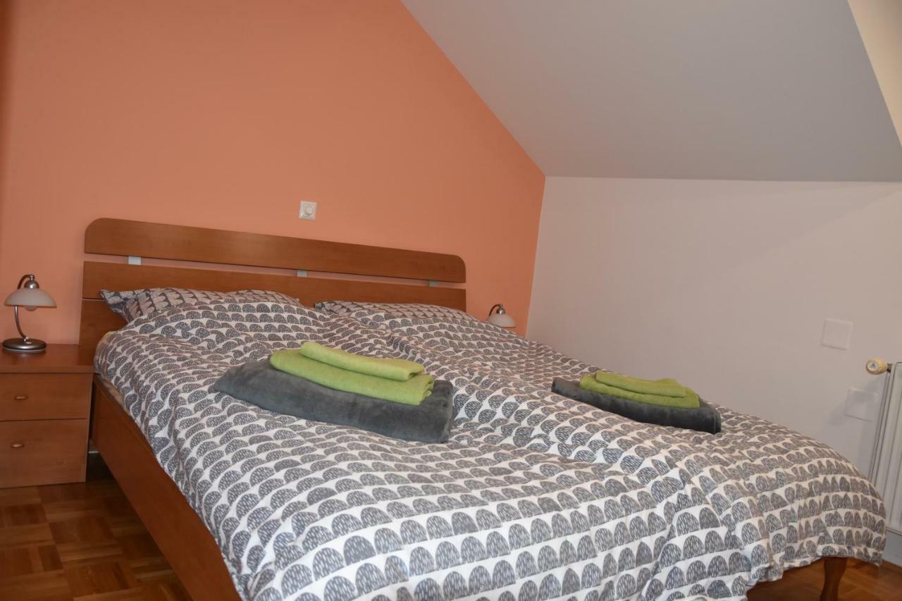 Apartment Kranj - Huge Terrace, Free P, Wi - Fi, Ac Extérieur photo